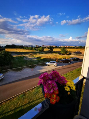 Teo Apartment Brasov